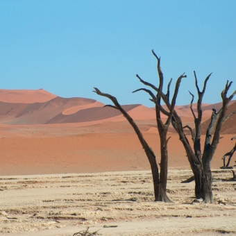 Отдых в Намибии
