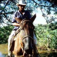 Культура Южной Америки